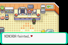 Pokemon Emerald Screenthot 2